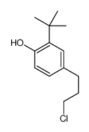 2-tert-butyl-4-(3-chloropropyl)phenol结构式