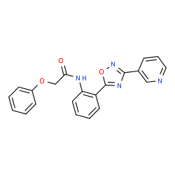 2-Phenoxy-N-{2-[3-(3-pyridinyl)-1,2,4-oxadiazol-5-yl]phenyl}acetamide Structure