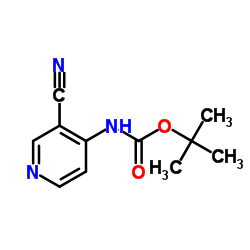Carbamic acid, (3-cyano-4-pyridinyl)-, 1,1-dimethylethyl ester (9CI) picture