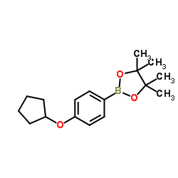 2-(4-(环戊基氧基)苯基)-4,4,5,5-四甲基-1,3,2-二氧硼杂环戊烷图片