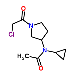 N-[1-(Chloroacetyl)-3-pyrrolidinyl]-N-cyclopropylacetamide结构式