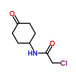 2-Chloro-N-(4-oxocyclohexyl)acetamide Structure