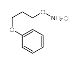 O-(3-Phenoxy-propyl)-hydroxylamine hydrochloride结构式