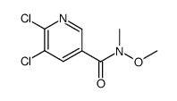 5,6-Dichloro-N-methoxy-N-methylpyridine-3-carboxamide structure