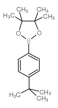 2-(4-(TERT-BUTYL)PHENYL)-4,4,5,5-TETRAMETHYL-1,3,2-DIOXABOROLANE Structure