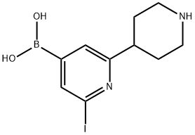 2-Iodo-6-(piperidin-4-yl)pyridine-4-boronic acid图片