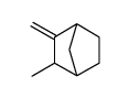 2-methylene-3-methylbicyclo[2.2.1]heptane Structure