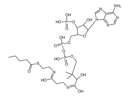 pentanoyl-CoA结构式