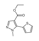 ethyl 1-methyl-5-thiophen-2-ylpyrazole-4-carboxylate Structure