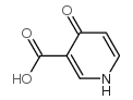 4-oxo-1,4-dihydro-3-pyridinecarboxylic acid picture