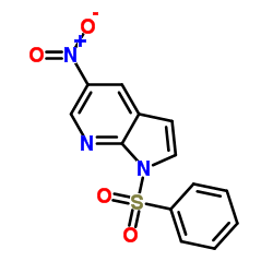 1H-PYRROLO[2,3-B]PYRIDINE, 5-NITRO-1-(PHENYLSULFONYL)- picture