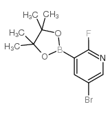 5-溴-2-氟吡啶-3-硼酸频哪醇酯结构式