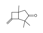 2,2,5-trimethyl-7-methylidenebicyclo[3.2.0]heptan-3-one结构式