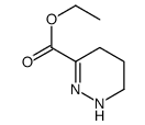 3-Pyridazinecarboxylicacid,1,4,5,6-tetrahydro-,ethylester(9CI) structure