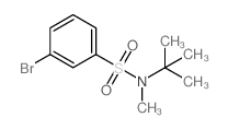 3-溴-N-叔丁基-N-甲基苯磺酰胺结构式