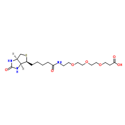 Biotin-PEG3-acid structure