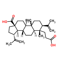 3,4-Secolupa-4(23),20(29)-diene-3,28-dioic acid Structure