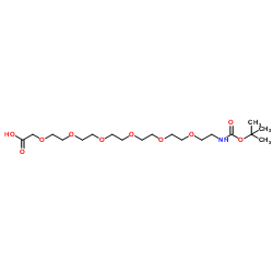 Boc-NH-PEG6-CH2COOH structure