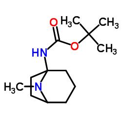 tert-Butyl exo-3-amino-8-azabicyclo[3.2.1]octane-8-carboxylate picture