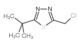 2-TERT-BUTYL-5-CHLOROMETHYL-1,3,4-THIADIAZOLE结构式