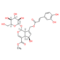 10-O-Caffeoyl-6-epiferetoside structure