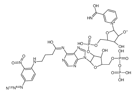 N-4-azido-2-nitrophenyl aminobutyryl NADP structure