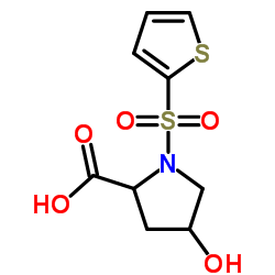 4-HYDROXY-1-(2-THIENYLSULFONYL)-2-PYRROLIDINECARBOXYLIC ACID picture