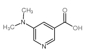 5-二甲氨基烟酸图片