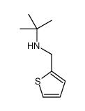 2-methyl-N-(thiophen-2-ylmethyl)propan-2-amine Structure