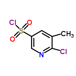 6-氯-5-甲基吡啶-3-磺酰氯结构式