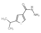 5-异丙基噻吩-3-碳酰肼结构式