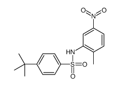 4-tert-butyl-N-(2-methyl-5-nitrophenyl)benzenesulfonamide结构式