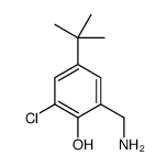 2-(aminomethyl)-4-tert-butyl-6-chlorophenol结构式