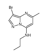 3-bromo-5-methyl-N-propylpyrazolo[1,5-a]pyrimidin-7-amine结构式