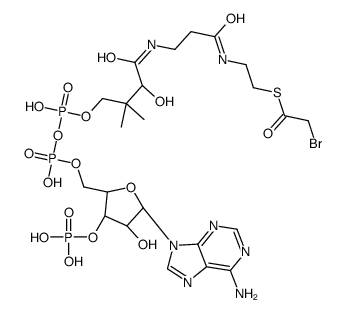 S-[2-[3-[[(2R)-4-[[[(2R,3S,4R,5R)-5-(6-aminopurin-9-yl)-4-hydroxy-3-phosphonooxyoxolan-2-yl]methoxy-hydroxyphosphoryl]oxy-hydroxyphosphoryl]oxy-2-hydroxy-3,3-dimethylbutanoyl]amino]propanoylamino]ethyl] 2-bromoethanethioate Structure