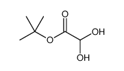 tert-butyl 2,2-dihydroxyacetate Structure