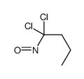 1,1-dichloro-1-nitrosobutane Structure