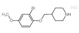 2-Bromo-4-methoxyphenyl 4-piperidinylmethyl ether hydrochloride结构式