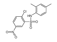 2-Chloro-5-nitro-N-(2,4-xylyl)benzenesulfonamide结构式