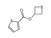 2-Thiophenecarboxylicacid,3-thietanylester(9CI) Structure
