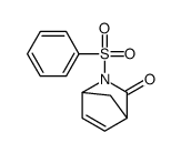 3-(benzenesulfonyl)-3-azabicyclo[2.2.1]hept-5-en-2-one结构式