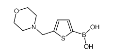 5-Morpholin-4-ylmethyl-thiophene-2-boronic acid结构式