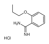 2-PROPYLOXYBENZAMIDINE, HYDROCHLORIDE structure