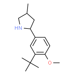 Pyrrolidine, 2-[3-(1,1-dimethylethyl)-4-methoxyphenyl]-4-methyl- (9CI) Structure