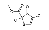 2,4-dichloro-2-methoxycarbonyl-3-oxo-2,3-dihydrothiophene Structure