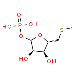 [3,4-dihydroxy-5-(methylsulfanylmethyl)oxolan-2-yl]oxyphosphonic acid Structure