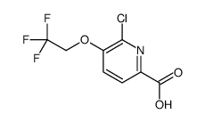 6-chloro-5-(2,2,2-trifluoroethoxy)picolinic acid picture