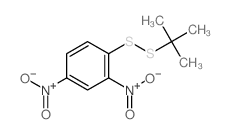 2,4-dinitro-1-tert-butyldisulfanyl-benzene structure