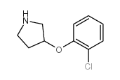 3-(2-chlorophenoxy)pyrrolidine Structure