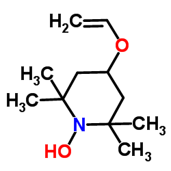 4-乙烯氧基-2,2,6,6-四甲基-1-哌啶氮氧化物图片